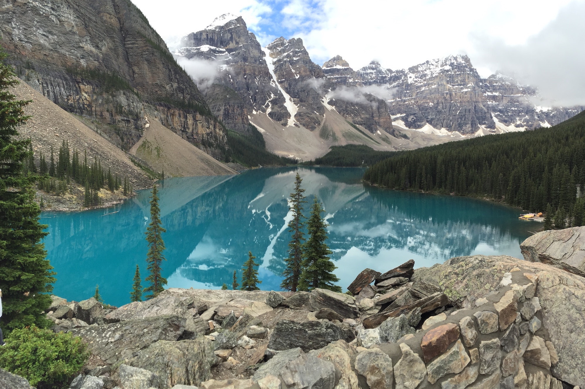 The Forest Hiker img-2