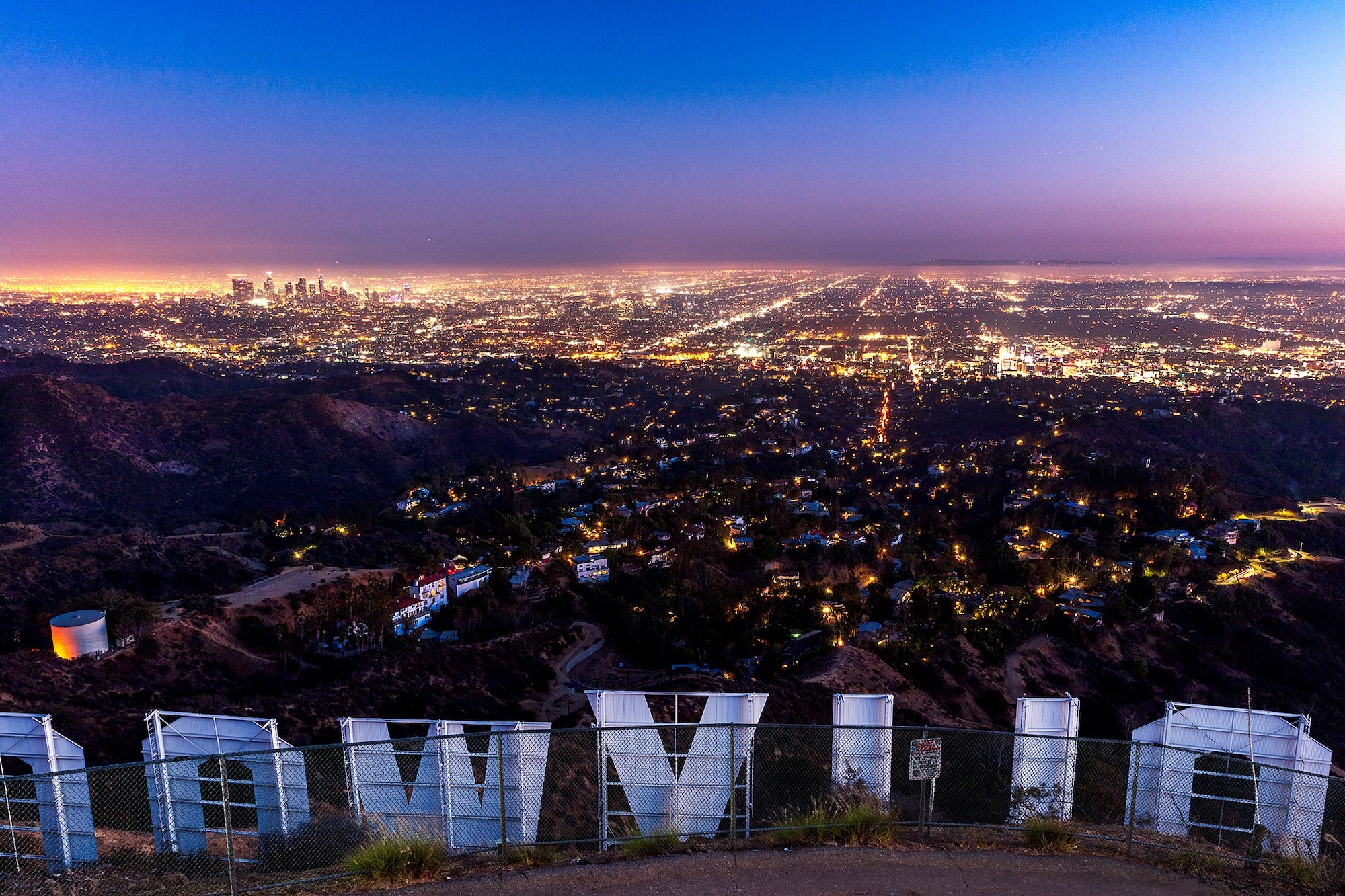 The City Wanderer img-3