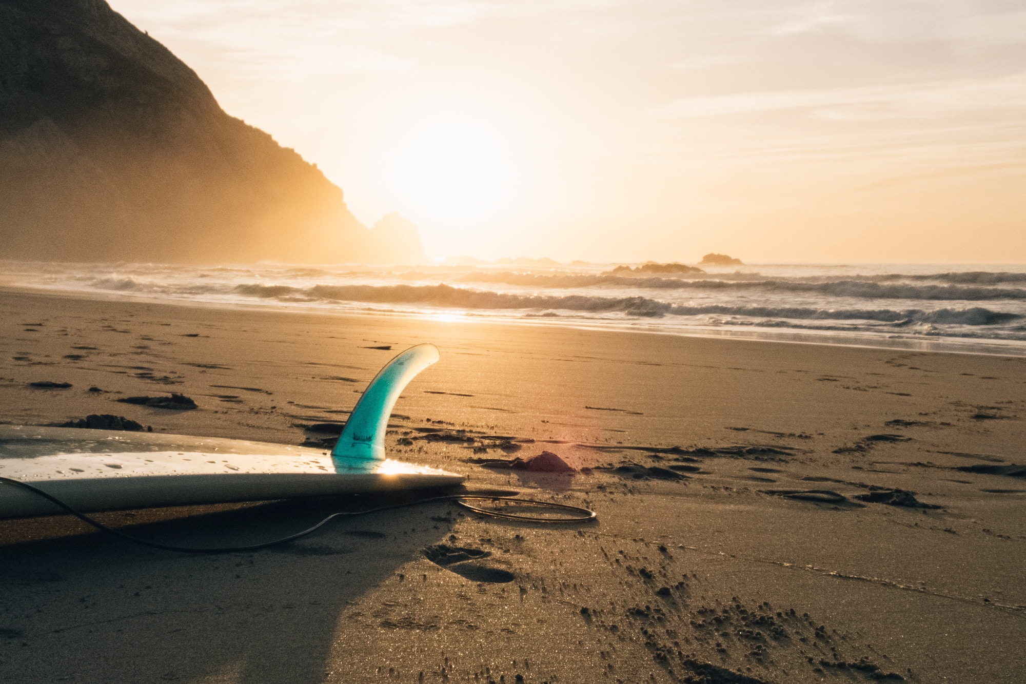 The Sports Lover img-1